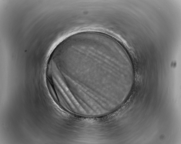 X0000098201512200805081059