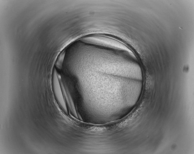 X0000098201513200805081059