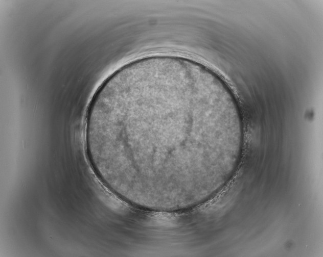 X0000098201514200805081059