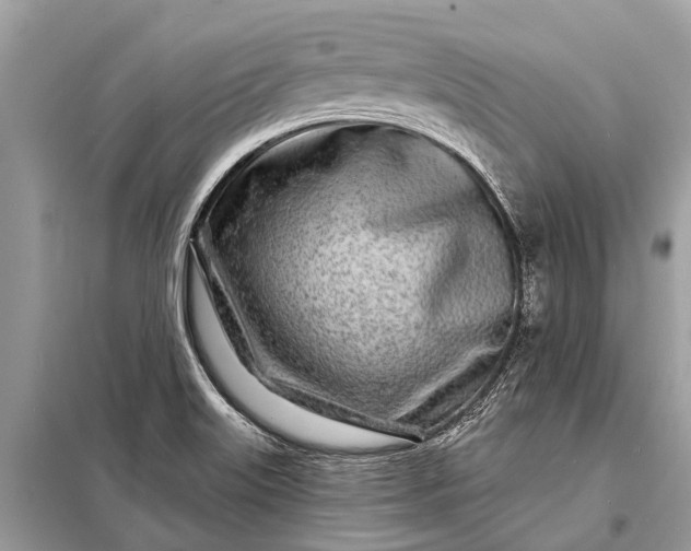 X0000098201515200805081059