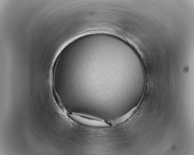 X0000098201516200805081059