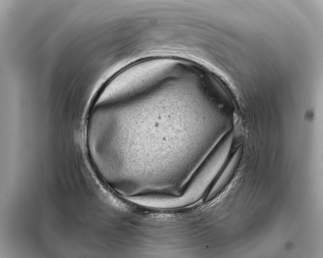 X0000098201517200805081059