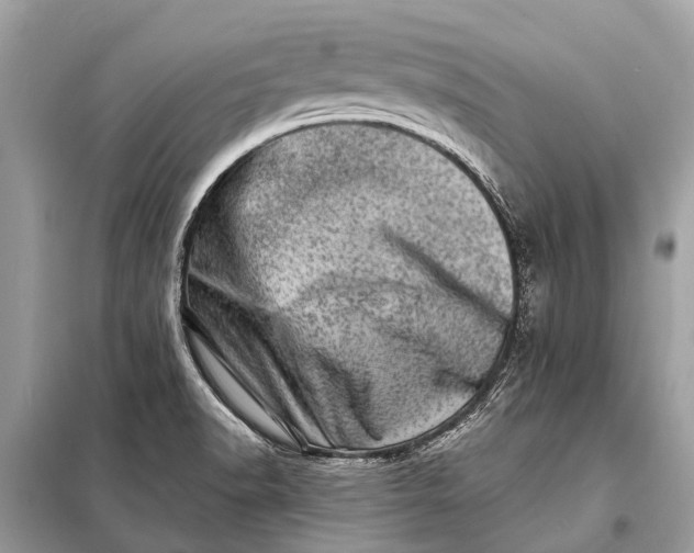 X0000098201518200805081059