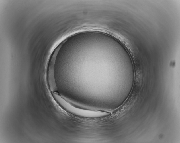 X0000098201520200805081059