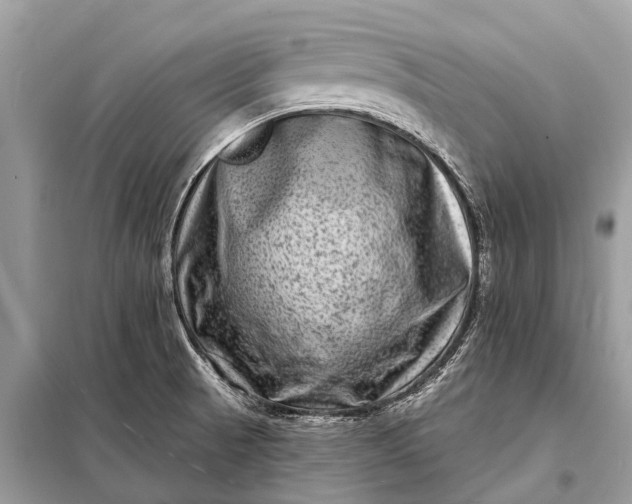 X0000098201521200805081059