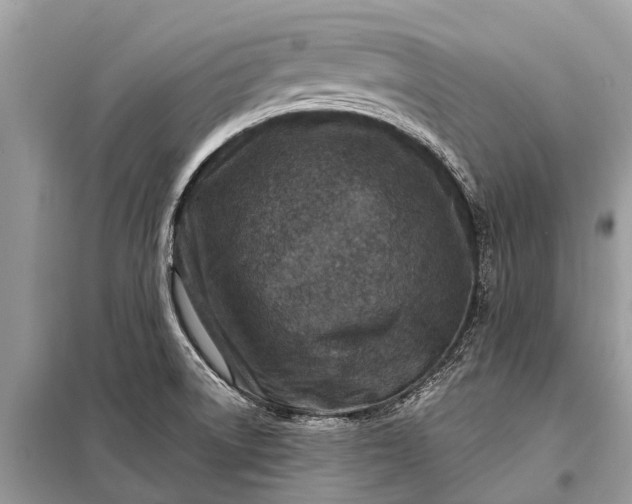 X0000098201522200805081059