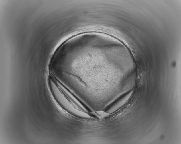 X0000098201523200805081059