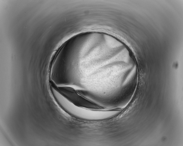 X0000098201525200805081059