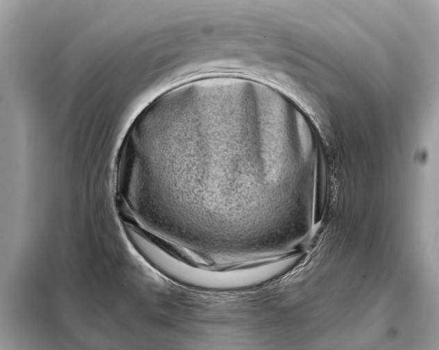X0000098201527200805081059