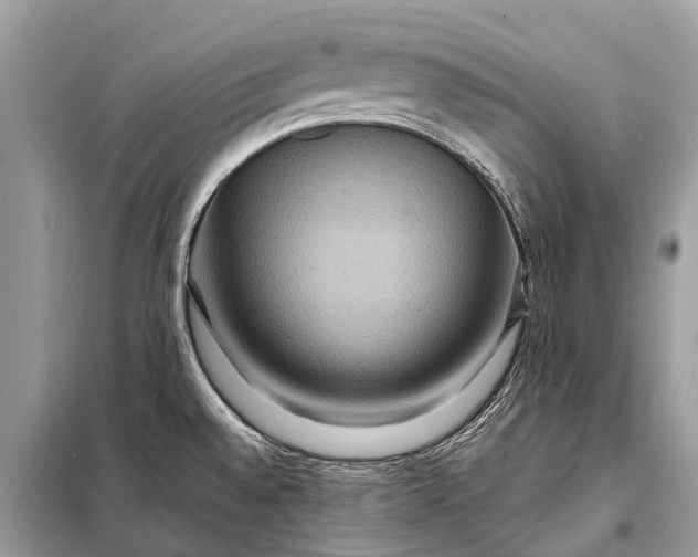 X0000098201528200805081059
