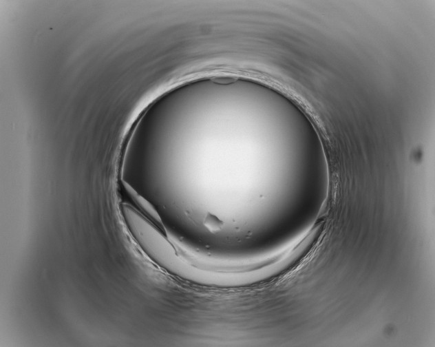 X0000098201530200805081059