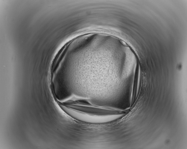 X0000098201531200805081059