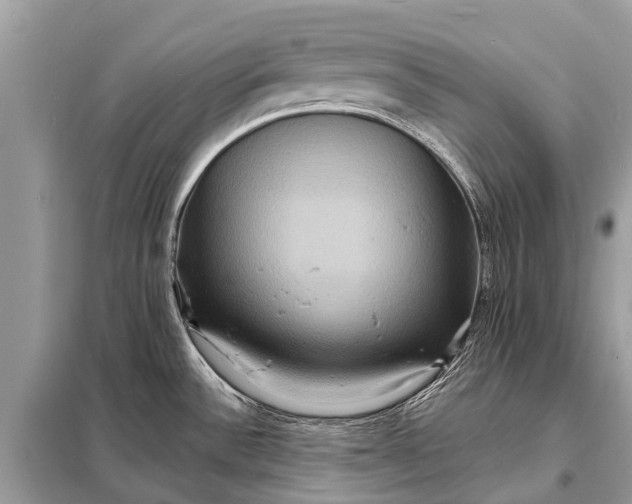 X0000098201532200805081059