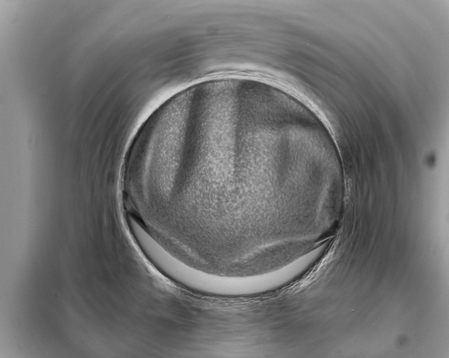 X0000098201533200805081059