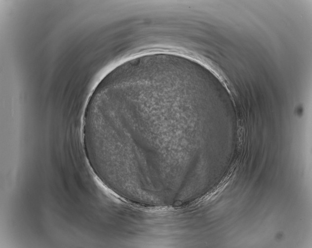 X0000098201535200805081059