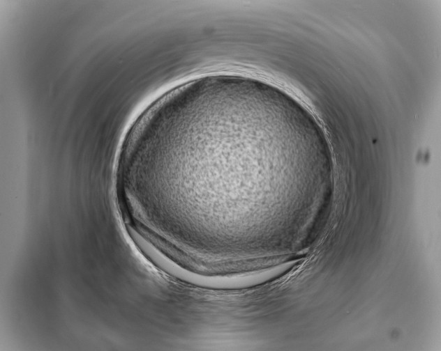 X0000098201536200805081059
