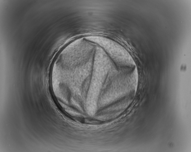 X0000098200002200805151239