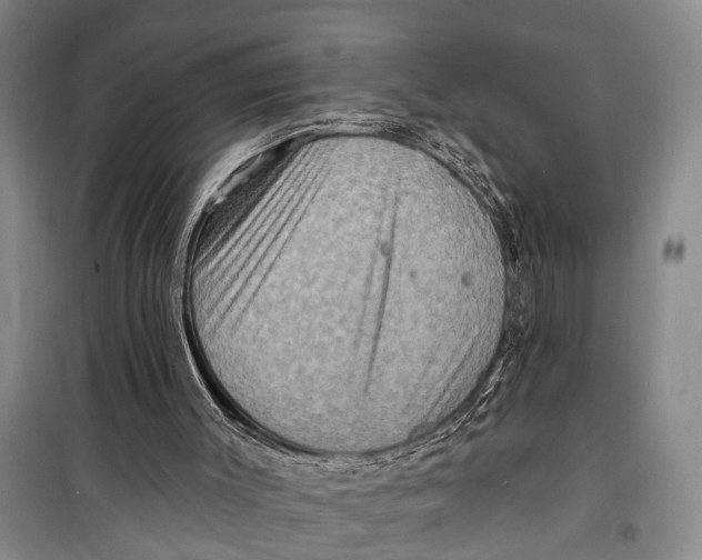 X0000098200003200805151239