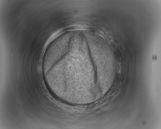 X0000098200004200805151239