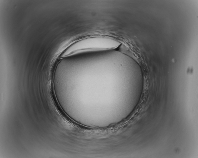 X0000098200005200805151239
