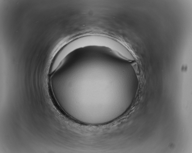 X0000098200007200805151239