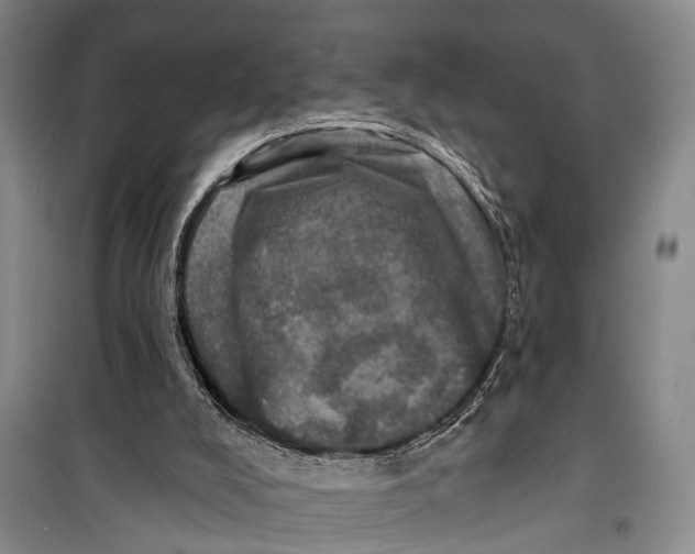 X0000098200008200805151239