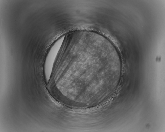 X0000098200009200805151239
