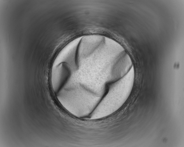 X0000098200010200805151239
