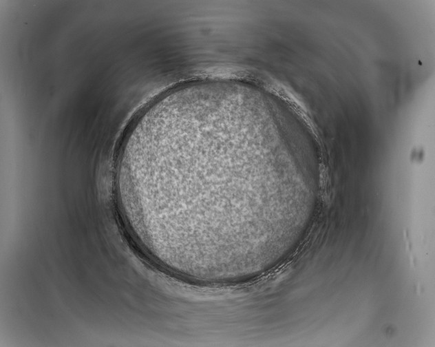 X0000098200012200805151239