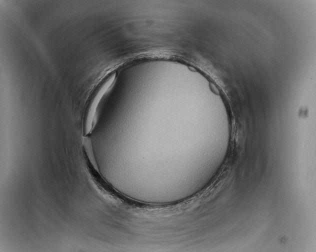 X0000098200013200805151239