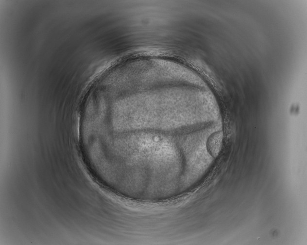 X0000098200014200805151239