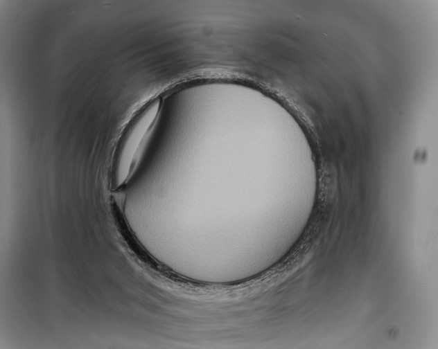X0000098200015200805151239