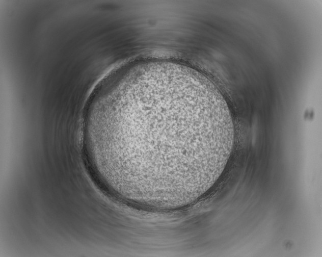X0000098200016200805151239