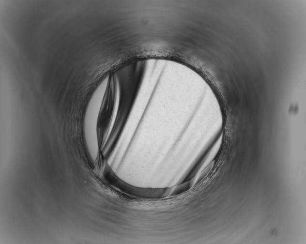 X0000098200017200805151239