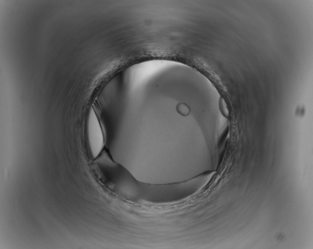 X0000098200019200805151239