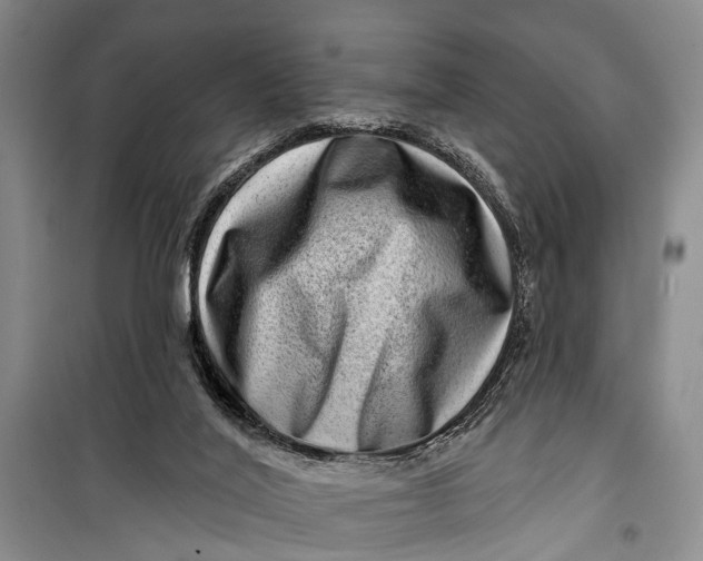 X0000098200020200805151239
