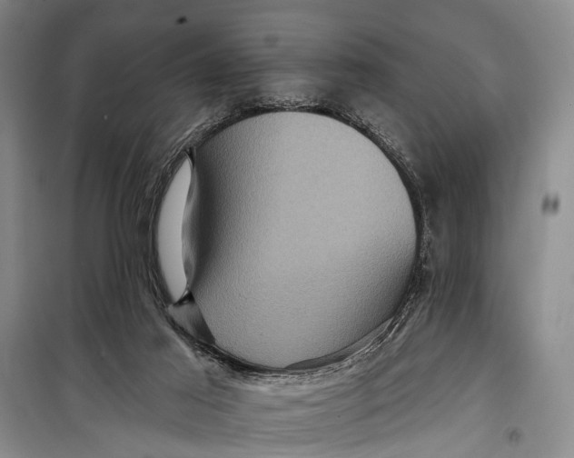X0000098200021200805151239