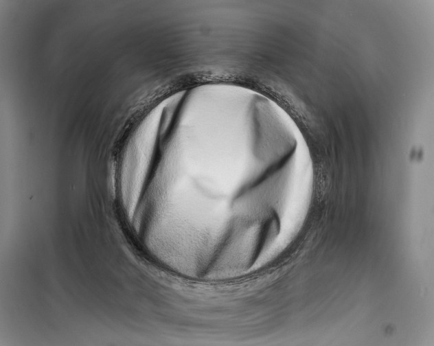 X0000098200022200805151239