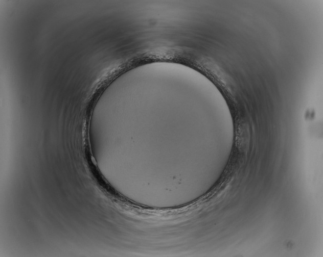 X0000098200023200805151239