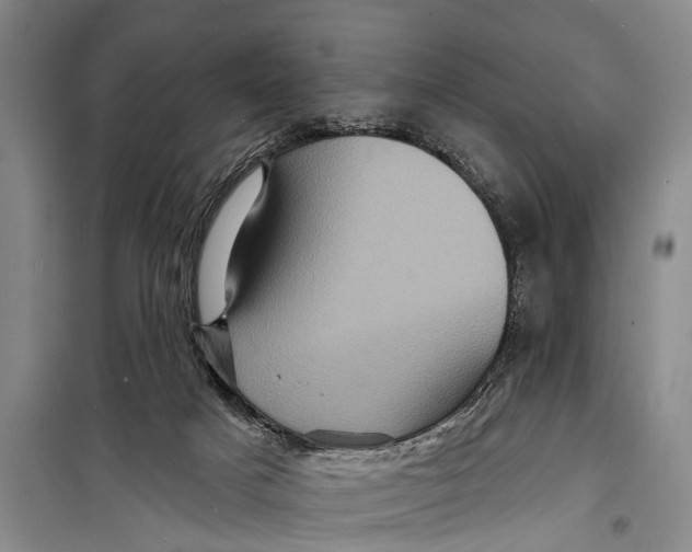 X0000098200025200805151239