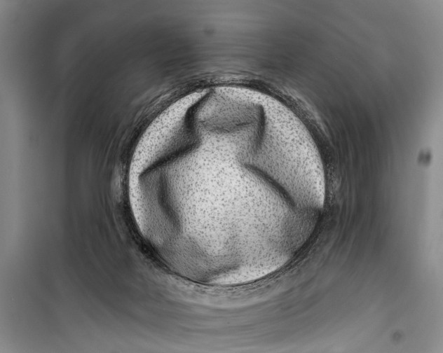 X0000098200026200805151239