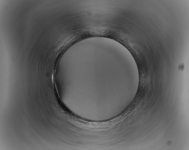 X0000098200027200805151239