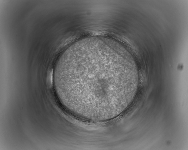 X0000098200028200805151239