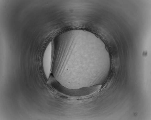 X0000098200029200805151239