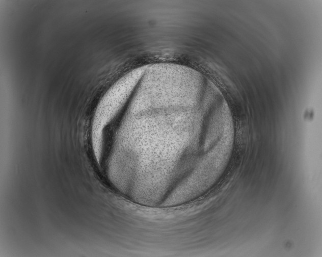 X0000098200030200805151239