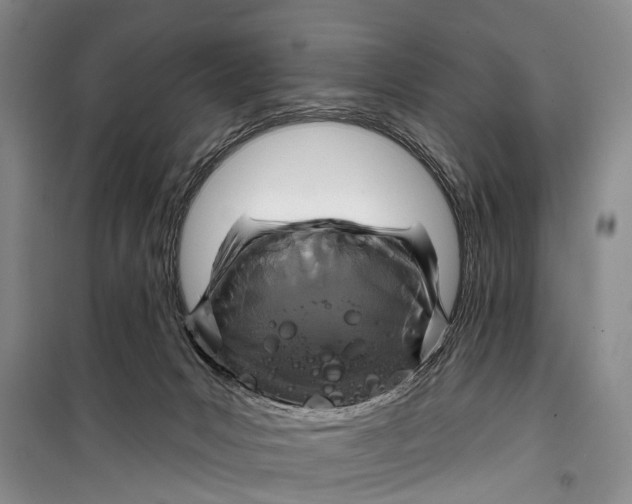 X0000098200031200805151239