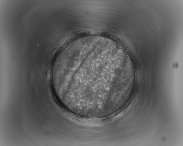 X0000098200032200805151239