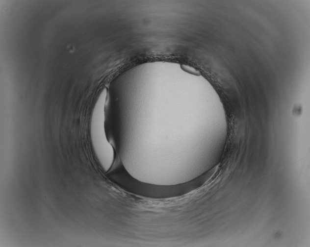 X0000098200033200805151239