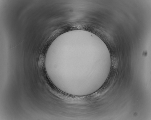 X0000098200036200805151239