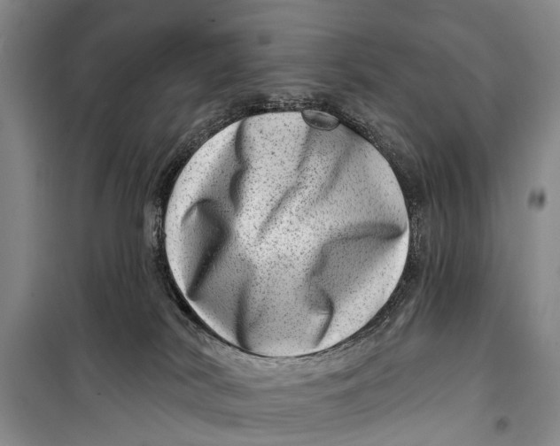 X0000098200038200805151239